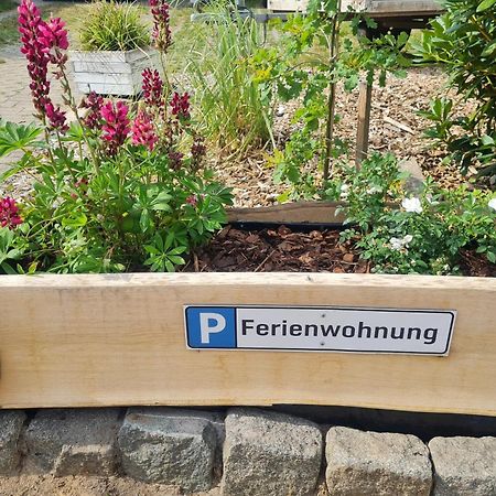 Ferienwohnung Im Winkel Hanstedt Ngoại thất bức ảnh