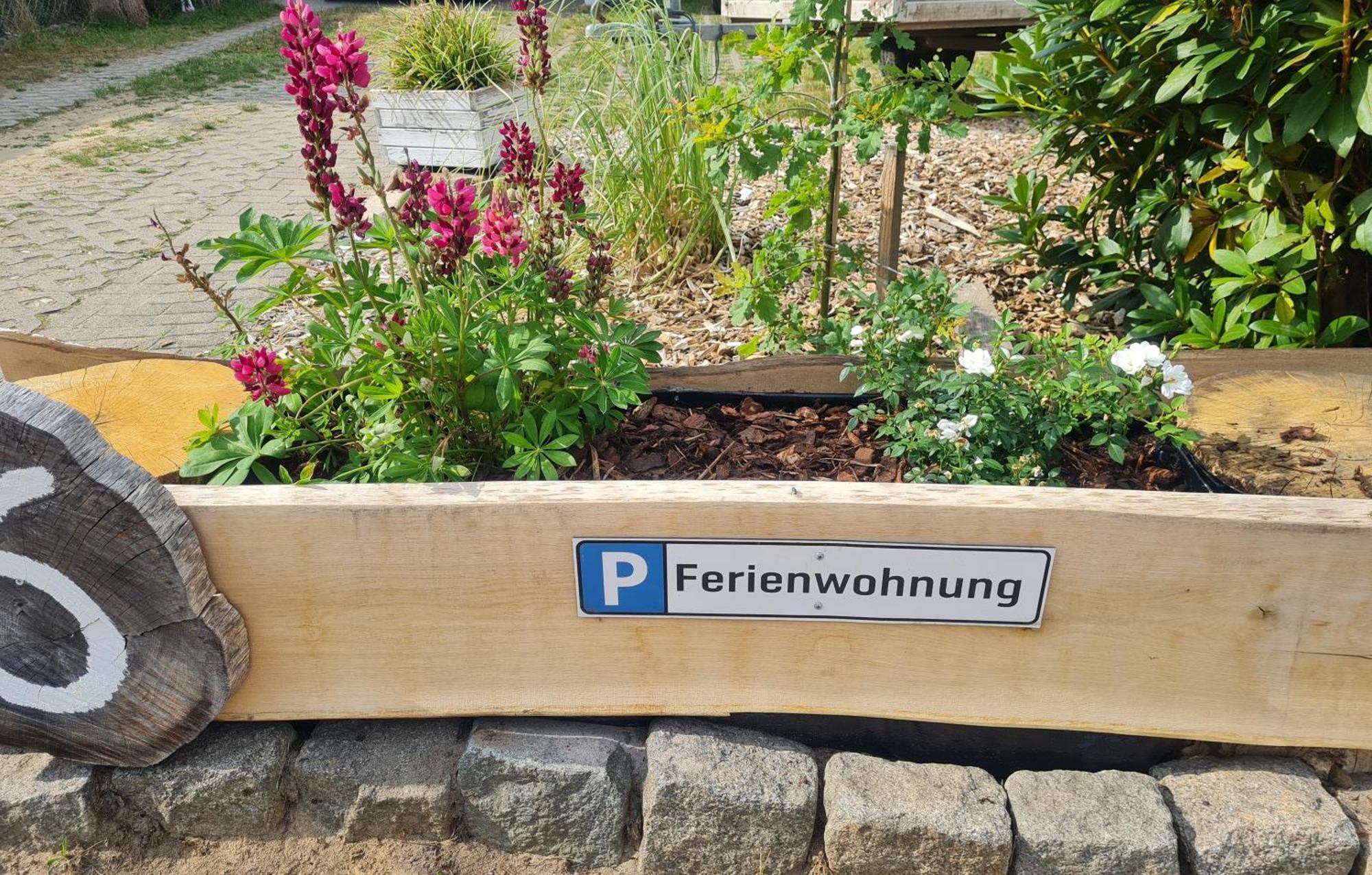 Ferienwohnung Im Winkel Hanstedt Ngoại thất bức ảnh